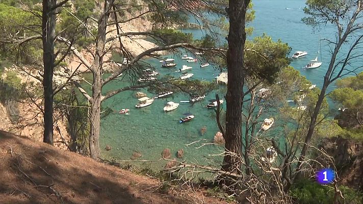 Telediario Fin de Semana - Costa Brava: Exceso de fondeos en las calas