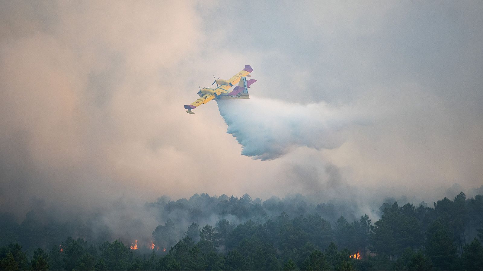 Estabilizado el incendio de Trabazos, en Zamora