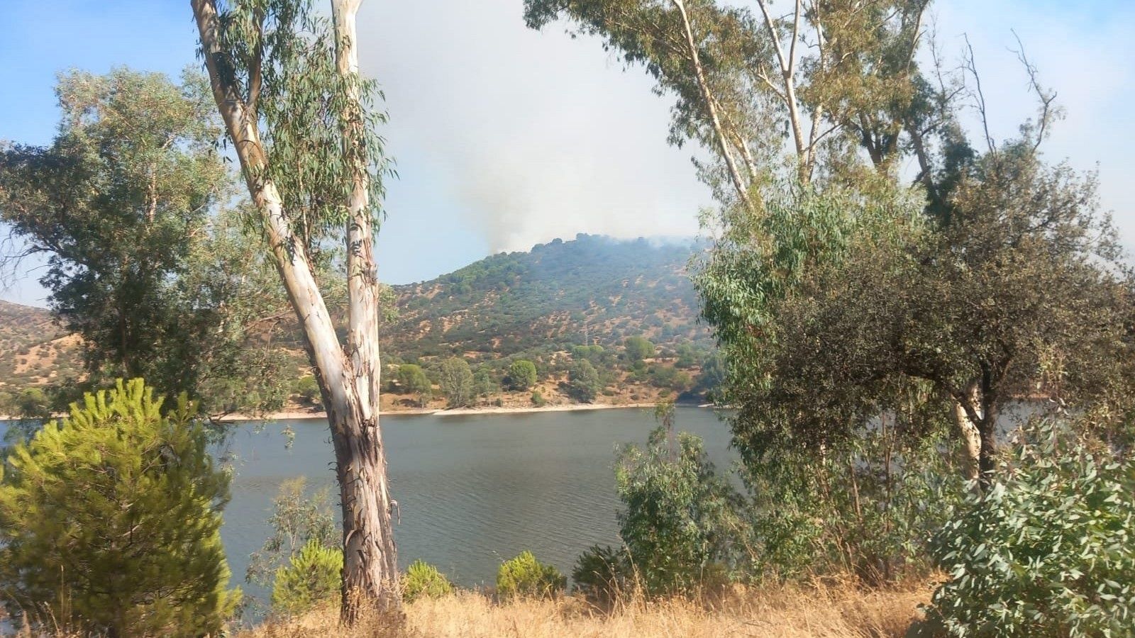 Un centenar de efectivos trabajan en la extinción de un incendio en Andújar