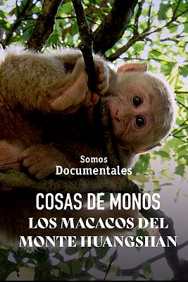 Som Documentals - Fent el mico, els macacos del mont Huang Shan