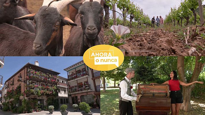 Ahora o nunca - Verano - Programa 25