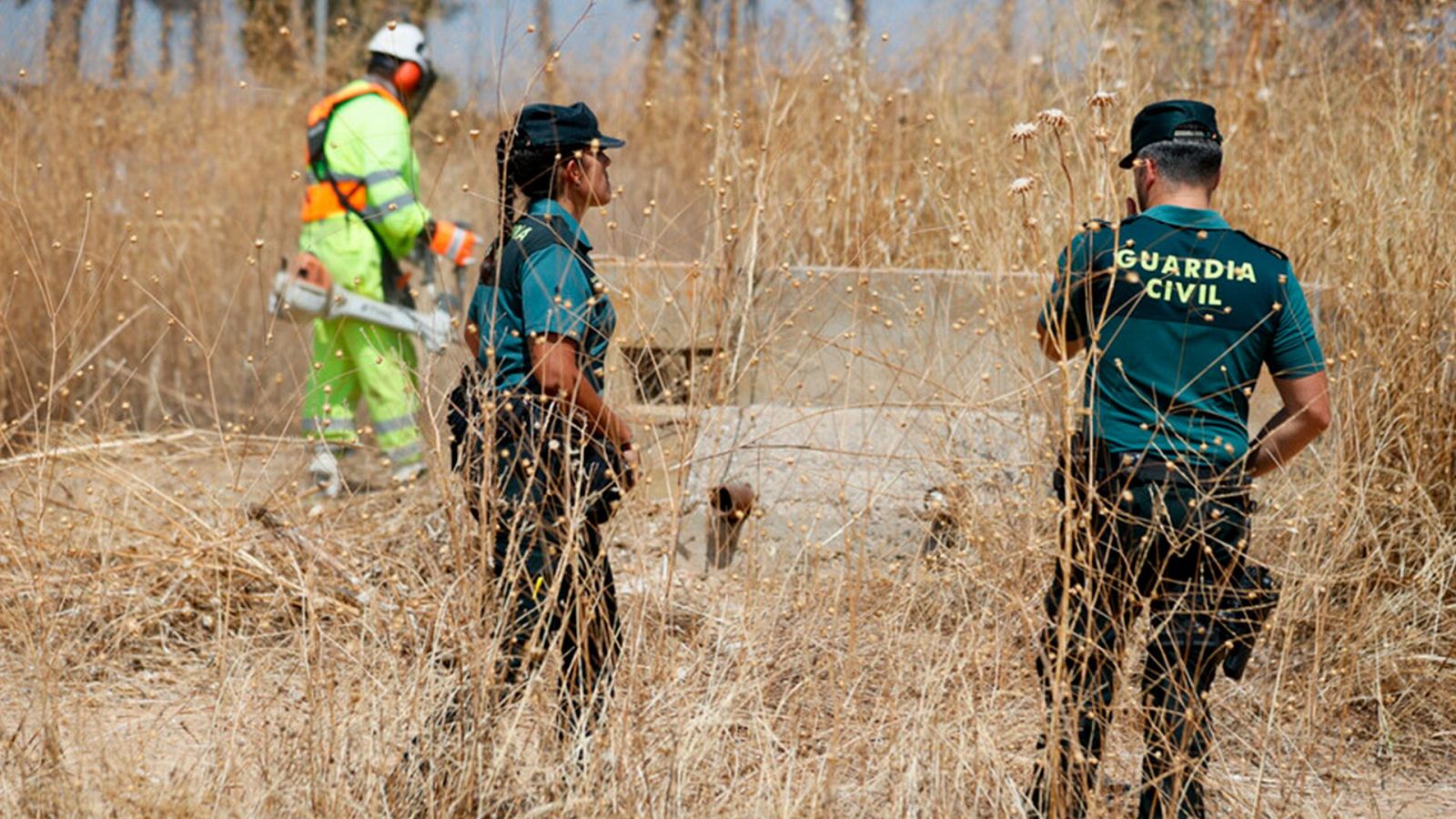 Telediario 1 en cuatro minutos - 20/08/24 – RTVE.es | Ver