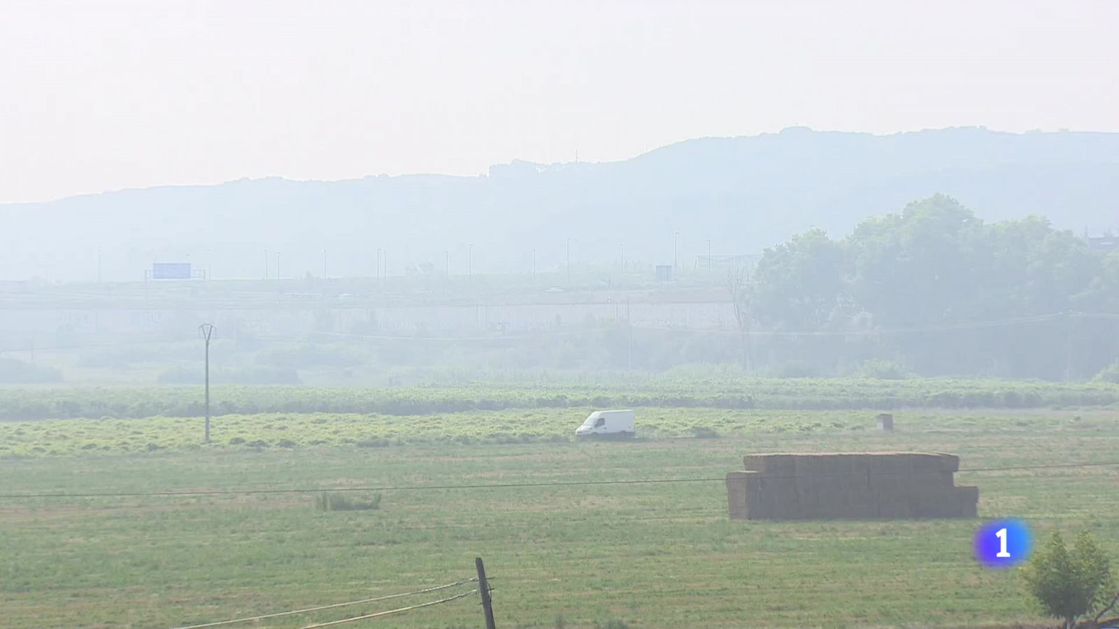 Informativo Telerioja 2 - 20-08-2024 | Ver