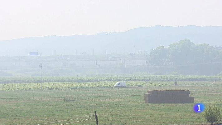 Informativo Telerioja - Informativo Telerioja 2 - 20-08-2024