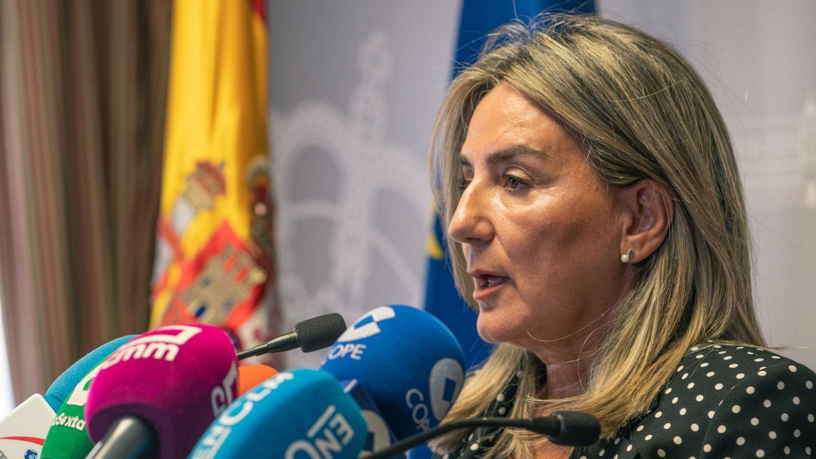 La delegada del Gobierno espera que se encuentre en breve el arma del crimen de Mocejón