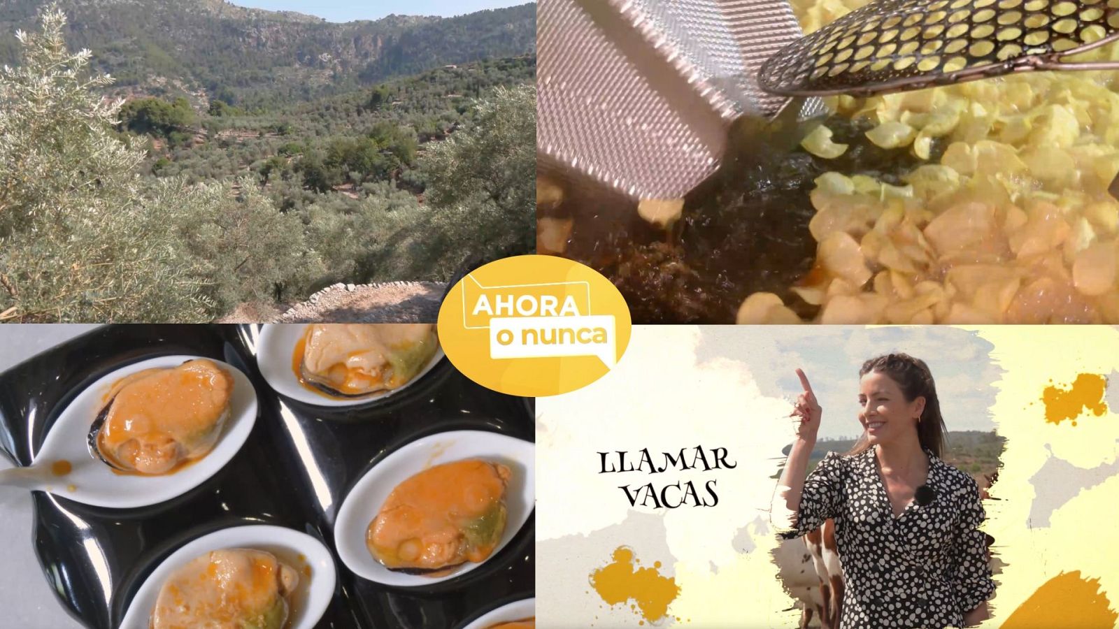 Ahora o nunca - Verano - Programa 27 - ver ahora