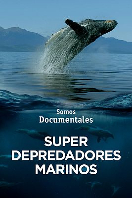 Som Documentals - Depredadors marins
