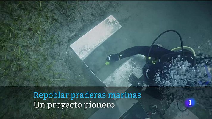 Telecanarias - Canarias en 2' - 21/08/2024