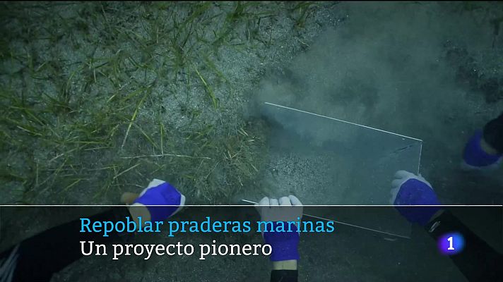 Telecanarias - Telecanarias - 21/08/2024