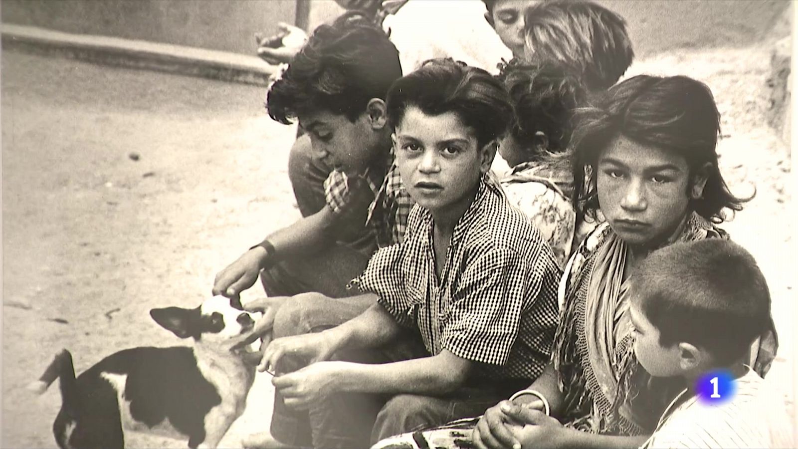 Els 40 anys de professió de Colita es poden repassar a Palafrugell - L'Informatiu | Veure