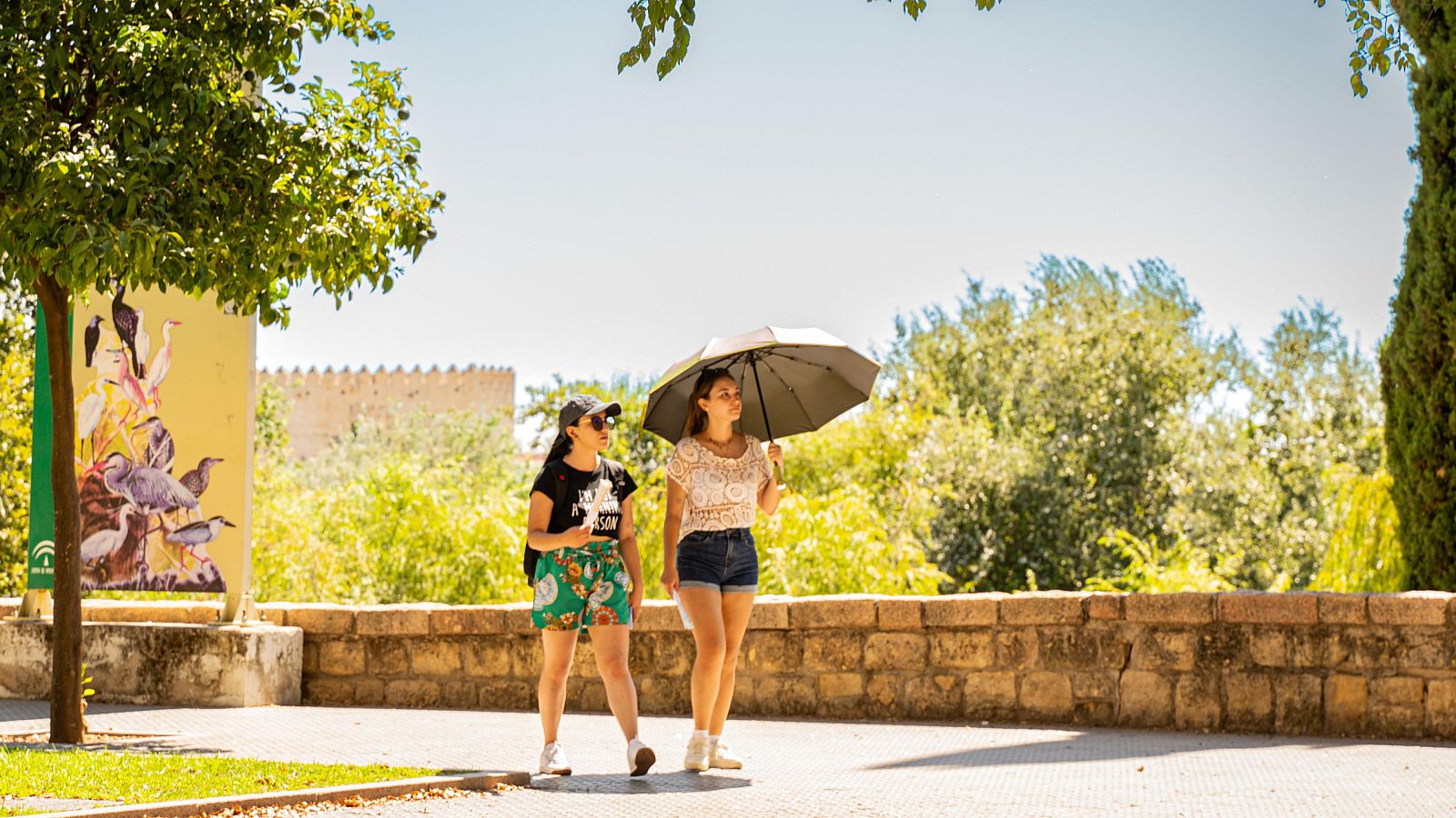 Tiempo estable y temperaturas sin cambios, salvo tormentas en el centro y sudeste peninsular