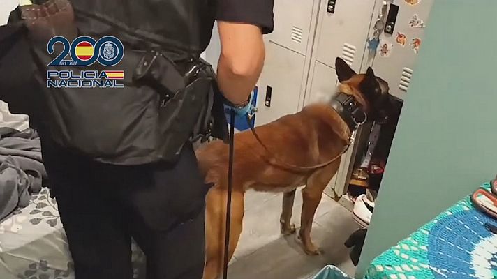 Informativo 24h - La Policía Nacional libera a seis mujeres explotadas sexualmente