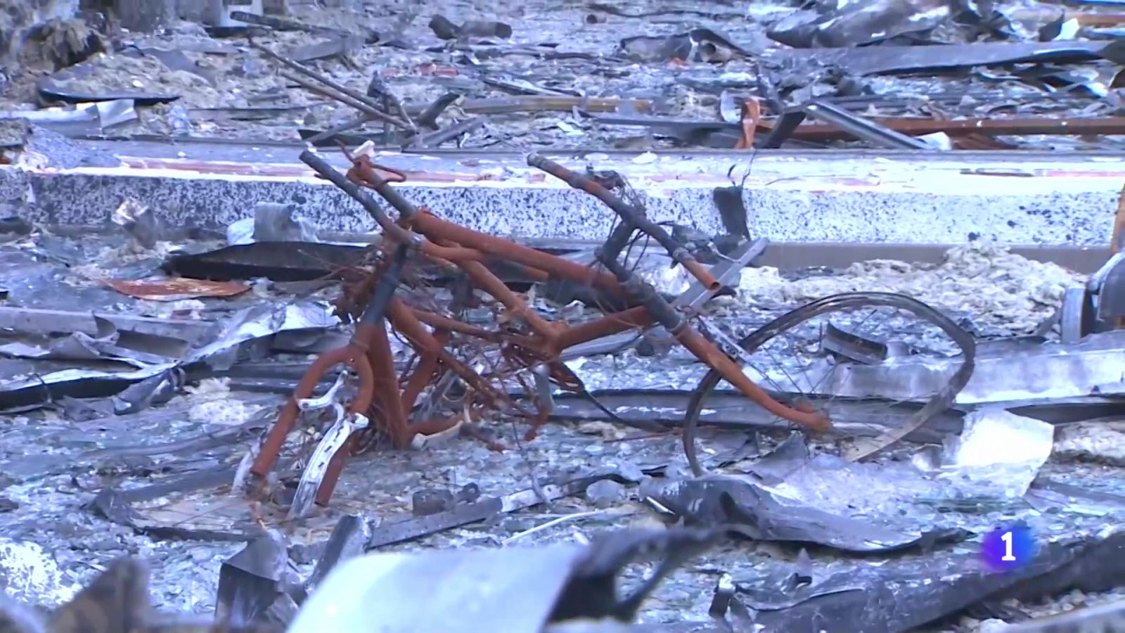 L'Informatiu de la Comunitat Valenciana 1 - 22/08/24 | Ver