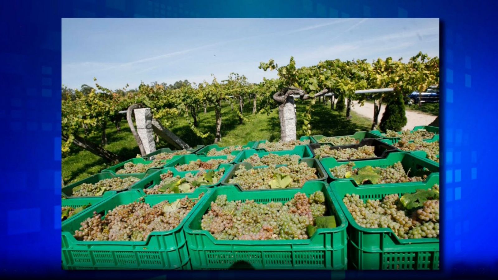 Saber y ganar - 23/08/24 - ver ahora