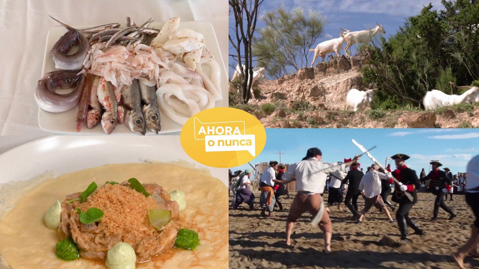 Ahora o nunca - Verano - Programa 29 - ver ahora