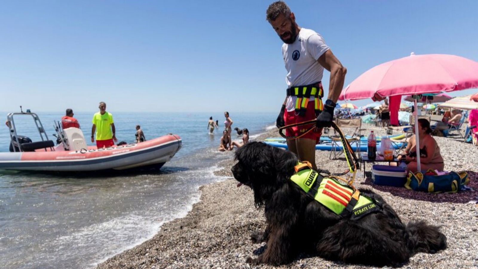 Rescatistas de cuatro patas en las playas de Málaga