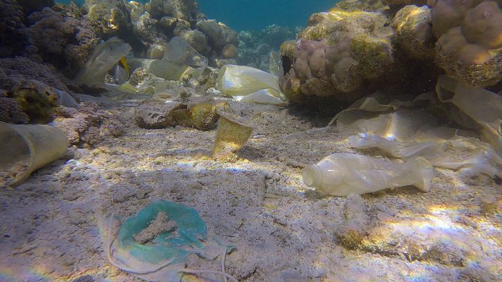 Alarma por el preocupante estado del fondo marino de la playa del Coco en Badalona (Barcelona)