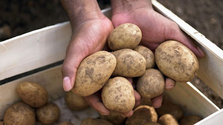 La patata bate récord de precio: poca oferta y un valor en origen en máximos históricos