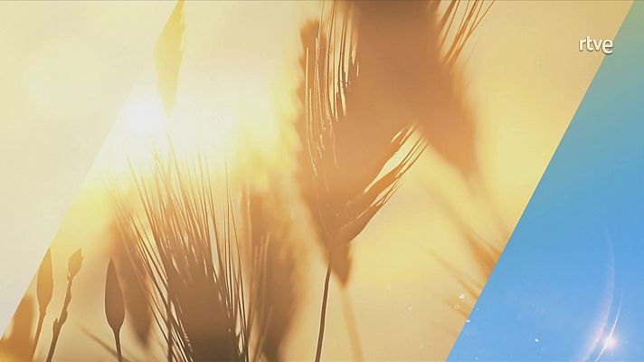 El tiempo - Intervalos de tramontana fuerte en litorales de Baleares y Ampurdán, tendiendo a amainar