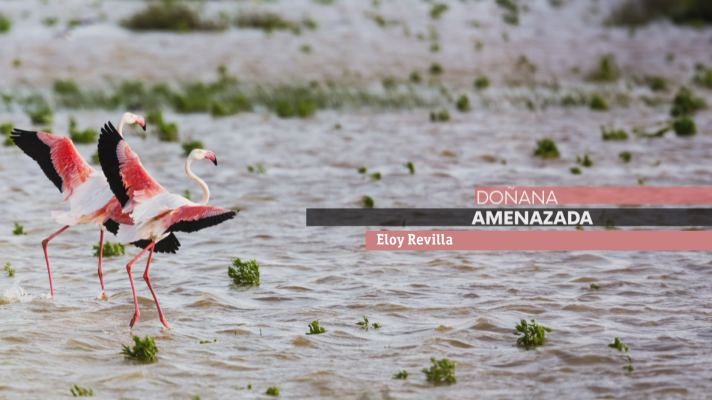 Entrevista a Eloy Revilla