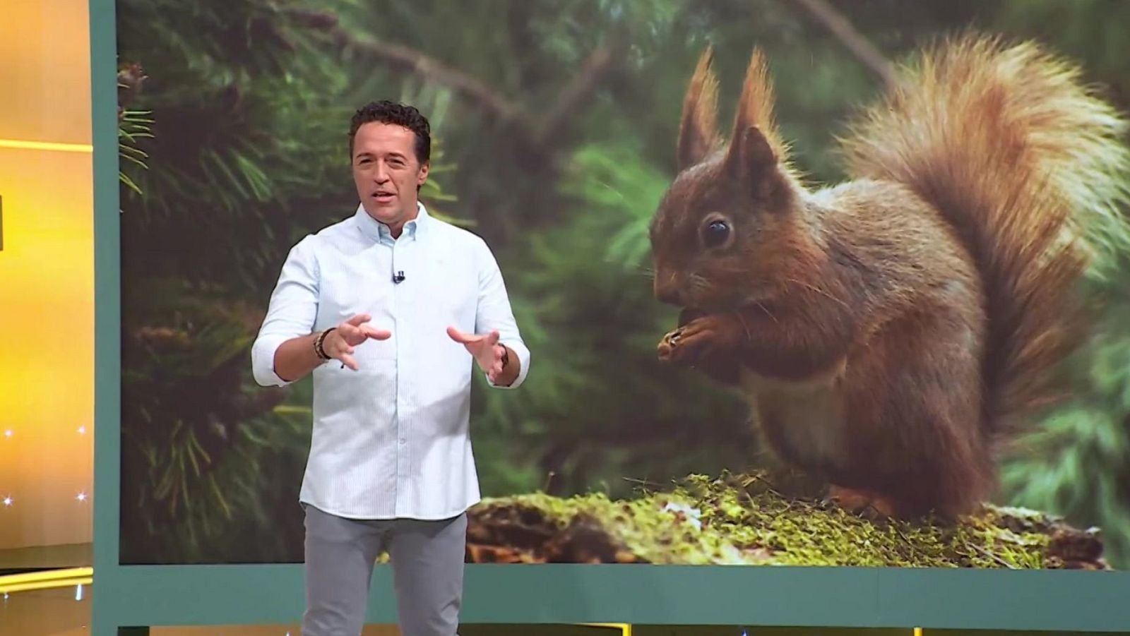 Aquí la Tierra - 26/08/24 - ver ahora