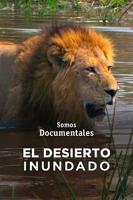 Som Documentals - El desert inundat