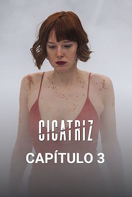 Cicatriz - El largo viaje