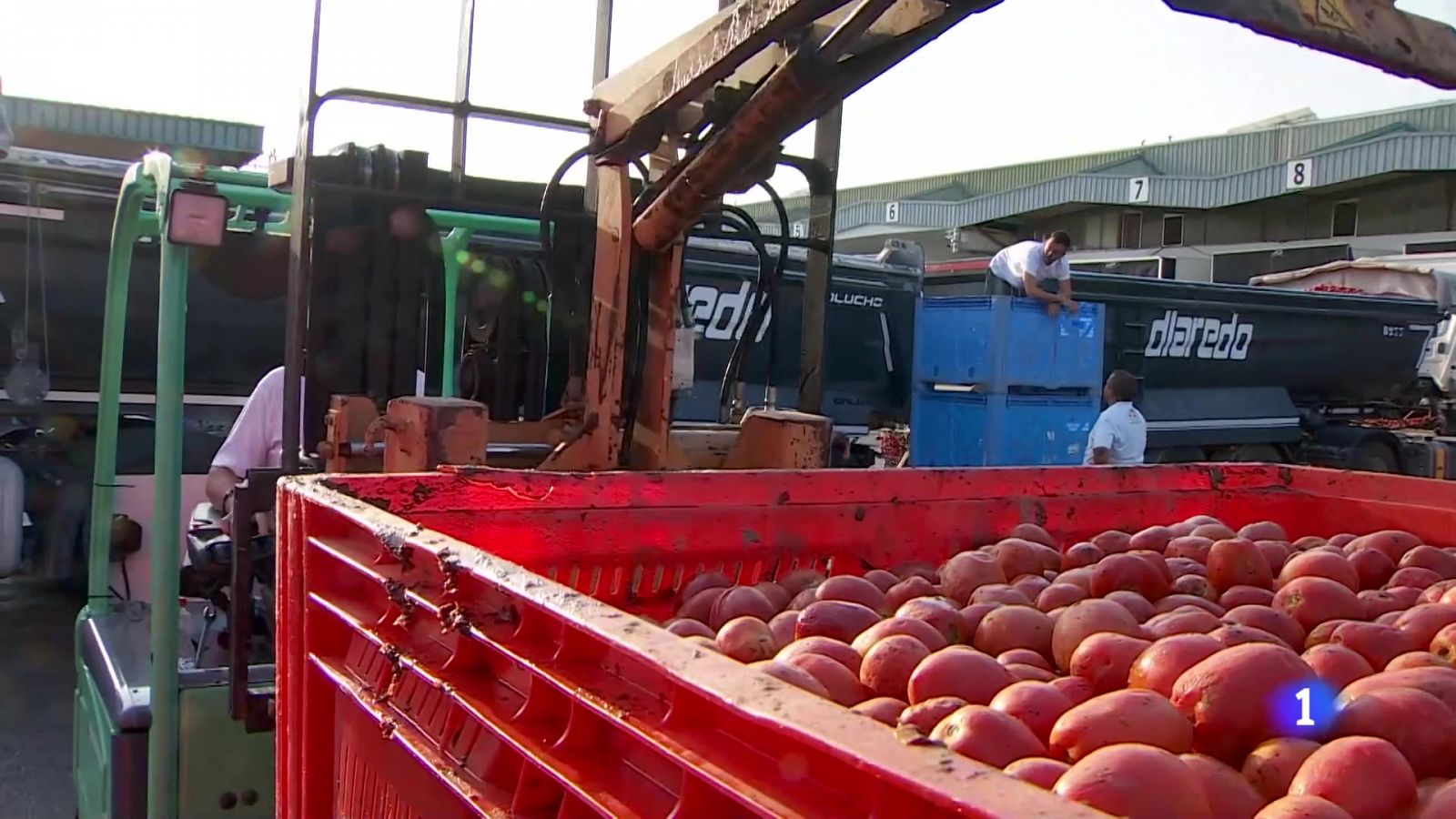 L'Informatiu de la Comunitat Valenciana 1 - 27/08/24 | Ver
