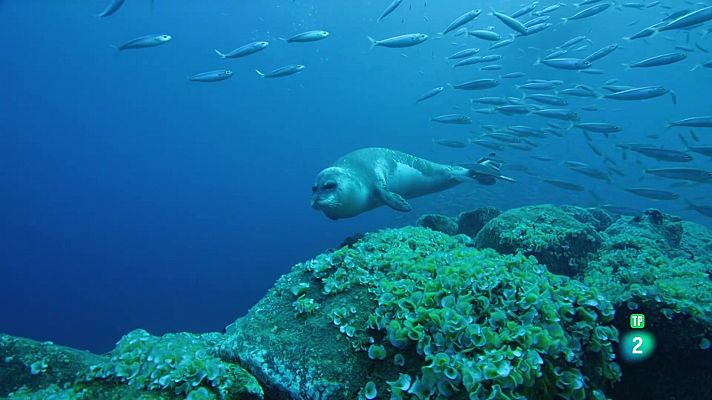 Som Documentals - Portugal, una terra salvatge als confins