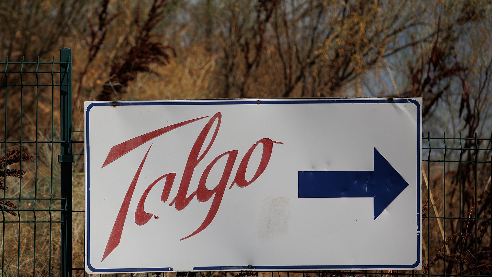 Talgo: claves del veto del Gobierno a la opa de Magyar Vagon