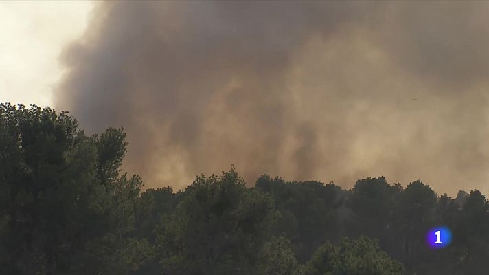 Només 500 hectàrees forestals cremades aquest estiu