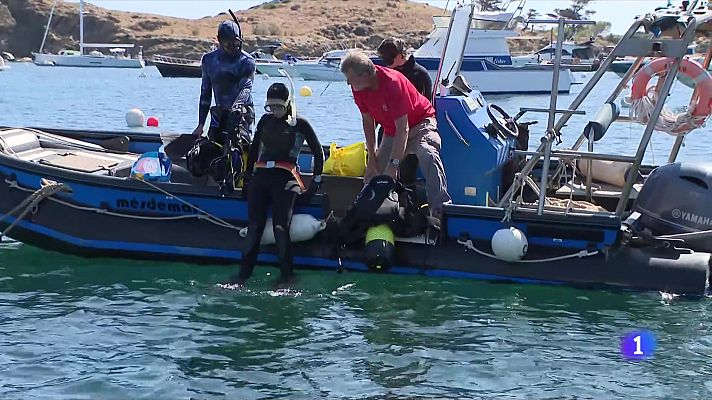 L'Informatiu - Cartografien el fons marí per a conèixer l'estat de les praderies de posidònia