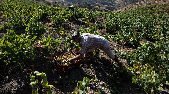 ¿Qué es la "migración circular" que propone el Gobierno?