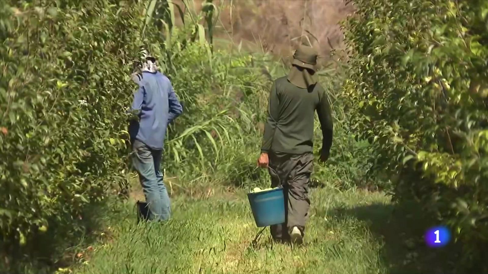 Temporers critiquen la Paeria de Lleida per tancar el pavelló d'acollida - L'Informatiu | Veure