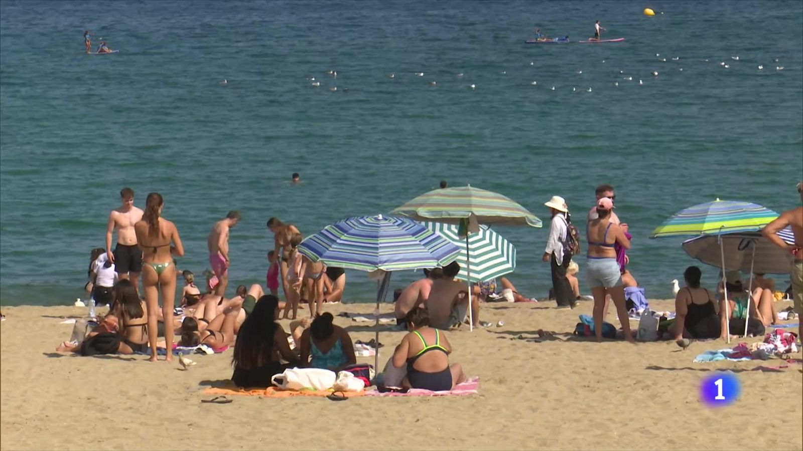 El sector turístic confia en la desestacionalizació per seguir creixent - L'Informatiu | Veure