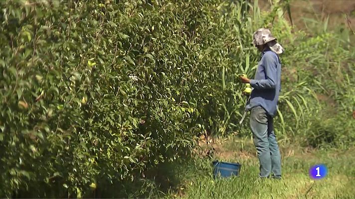 Telediario Fin de Semana - Lleida: alojamientos de temporeros