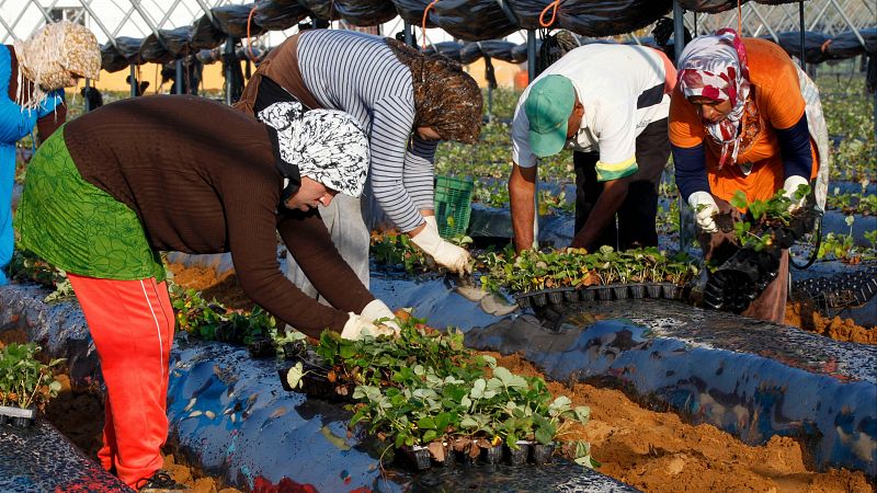 Migración circular,  formar y contratar a personas en origen de manera temporal