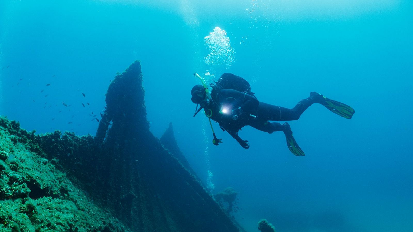 Informe Semanal - 31/08/24 - ver ahora