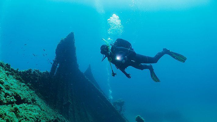 Informe Semanal - Informe Semanal - 31/08/24