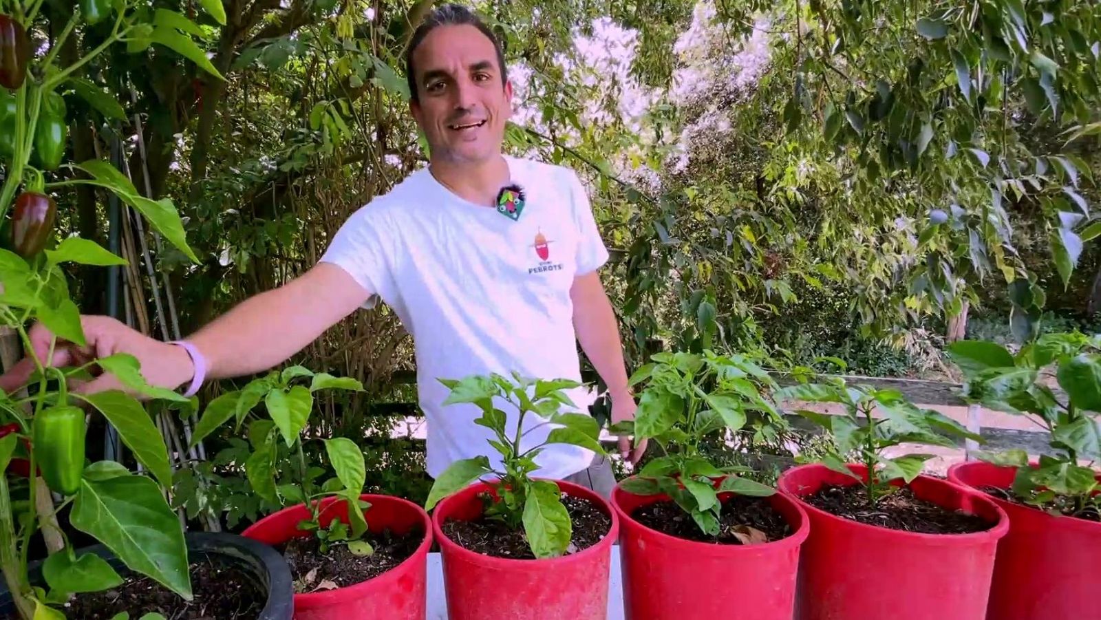 Com creuar el xili - Va de Verd | RTVE Catalunya - Va de verd | Veure