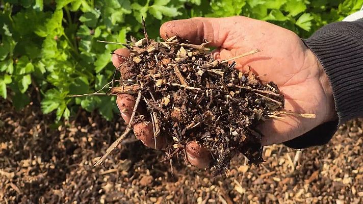 Va de verd - L'encoixinat d'en Lander