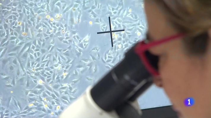 L'informatiu - Comunitat Valenciana - L'Informatiu de la Comunitat Valenciana 1 - 02/09/24