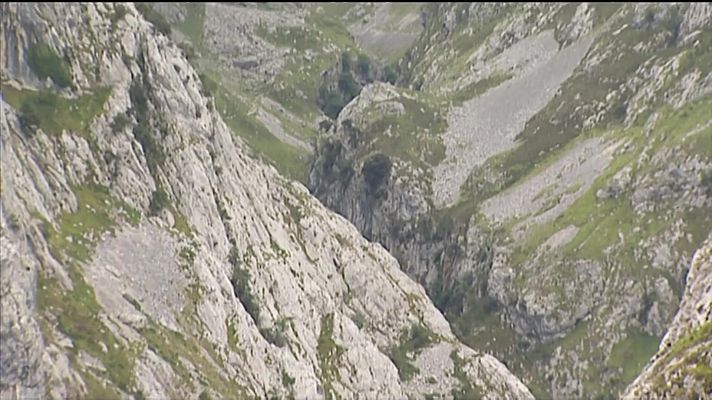 Panorama Regional - Panorama Regional - 02/09/24