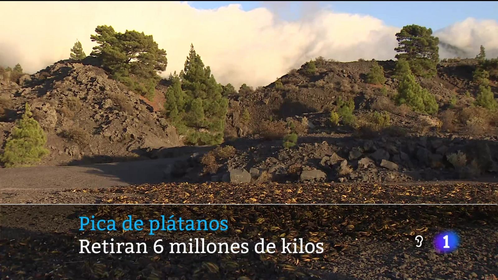 Canarias en 2' - 02/09/2024 | Ver