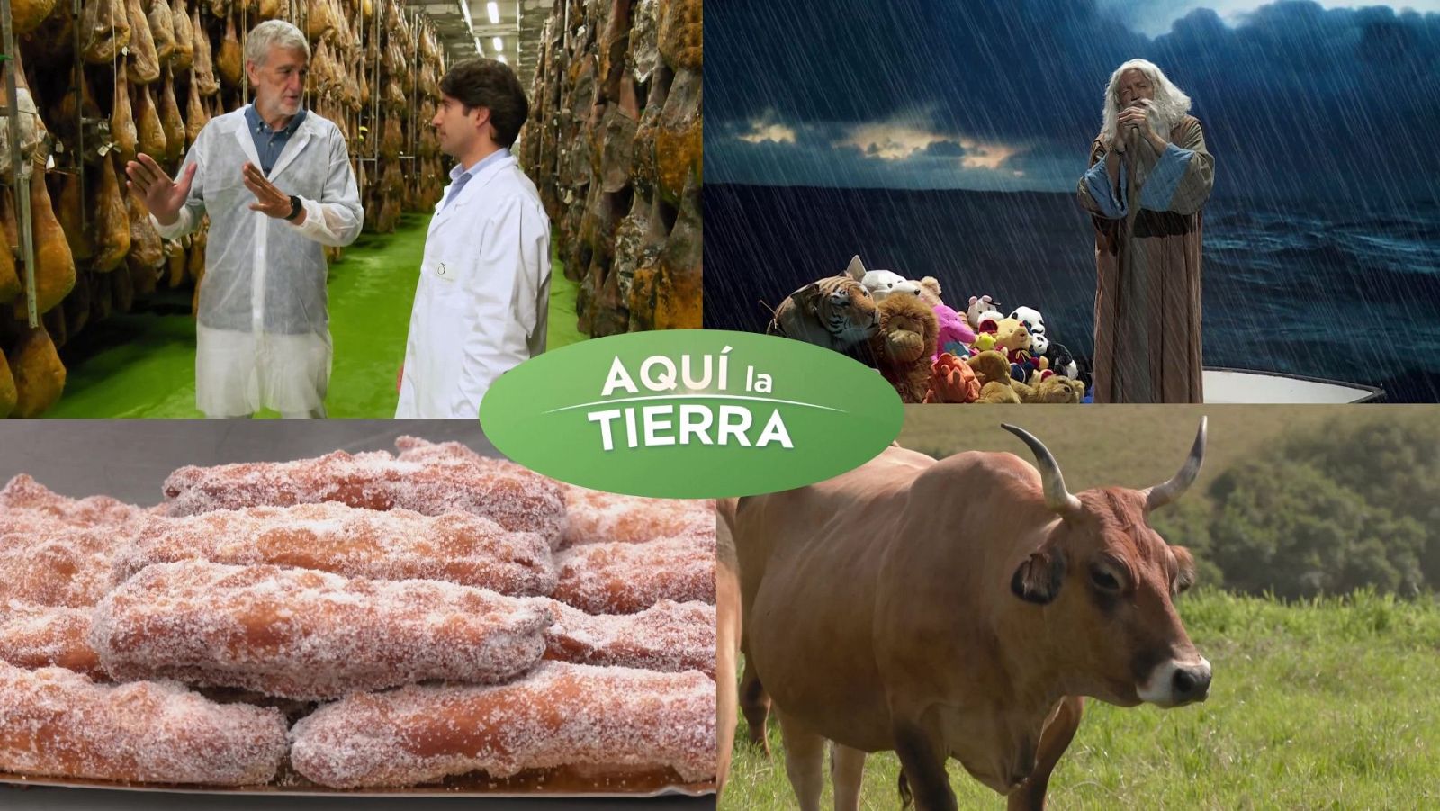 Aquí la Tierra - 03/09/24 - ver ahora