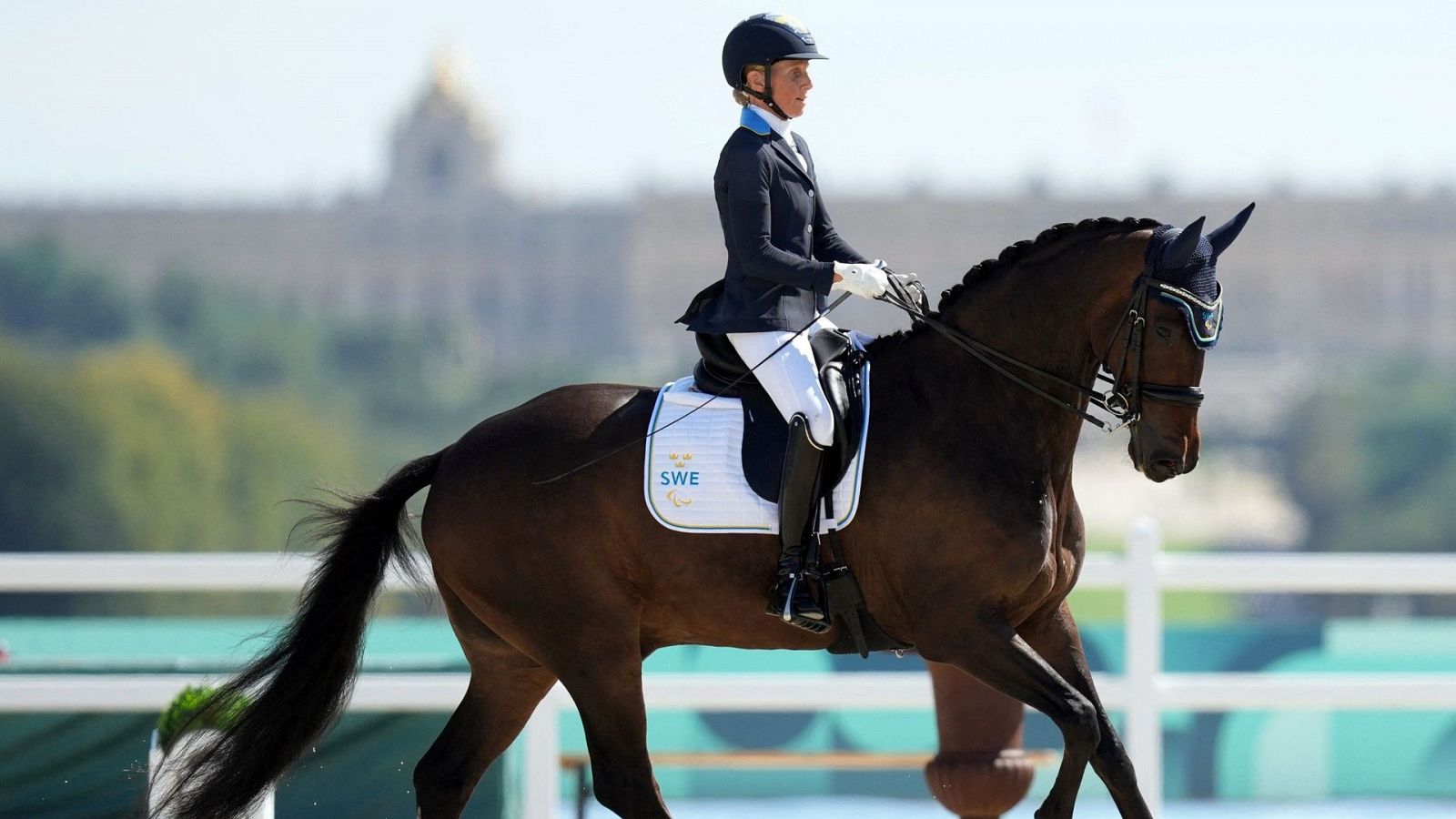 Paralímpicos París 2024 - Hípica doma: Categorías 4 y 5. Evento individual.