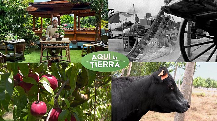 Aquí la Tierra - Aquí la Tierra - 04/09/24