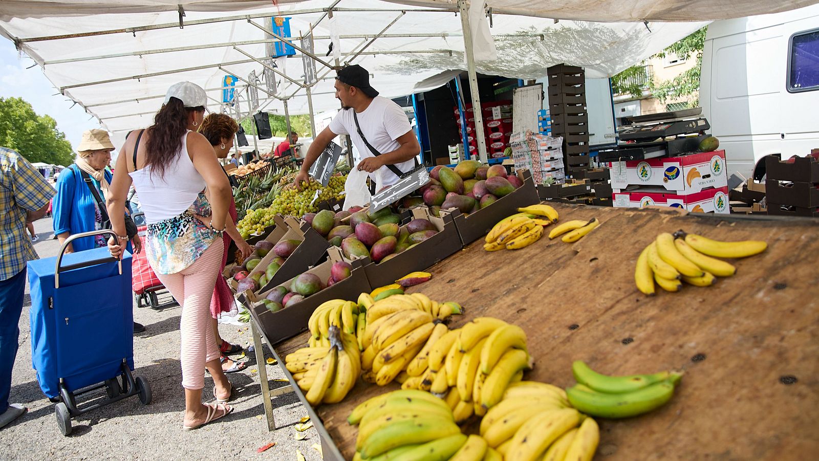 Canarias retira del mercado seis millones de kilos de plátanos