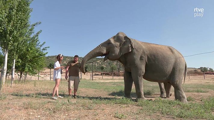 Ahora o nunca - Verano - Programa 38