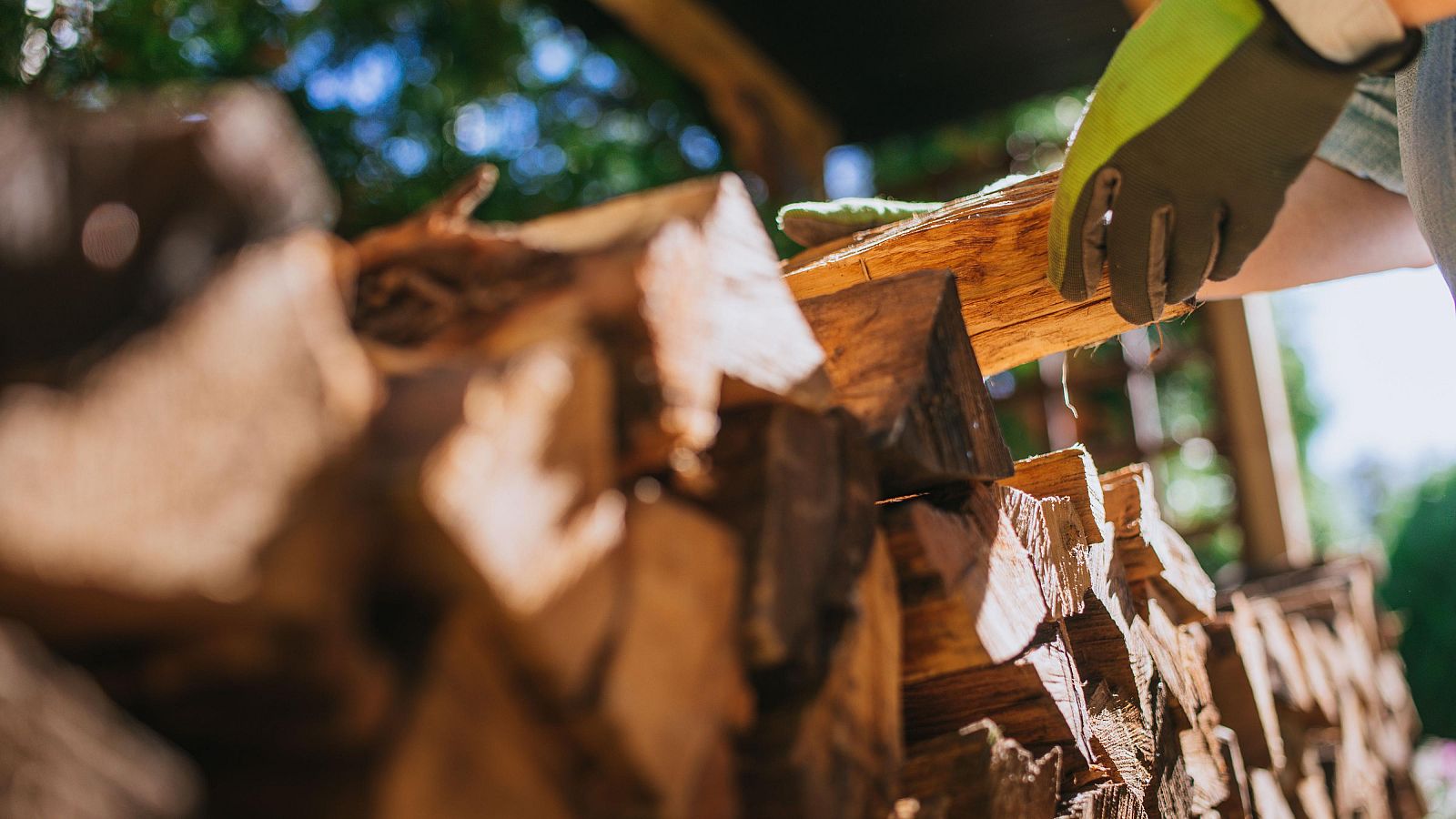 Comprar leña en verano: una opción más asequible y de más calidad | Ver